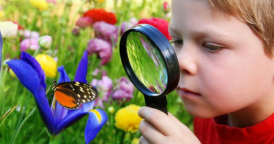 85af241cdb151f1f2ab5e96d79594856